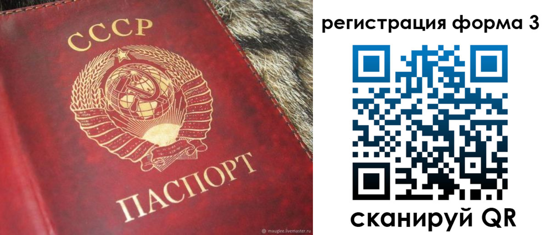 прописка регистрация в Шадринске
